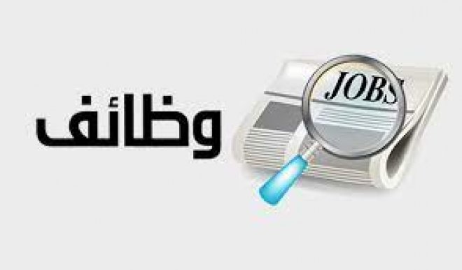 رابط وخطوات الاستعلام عن الوظائف الحكومية بالرقم القومي 2026