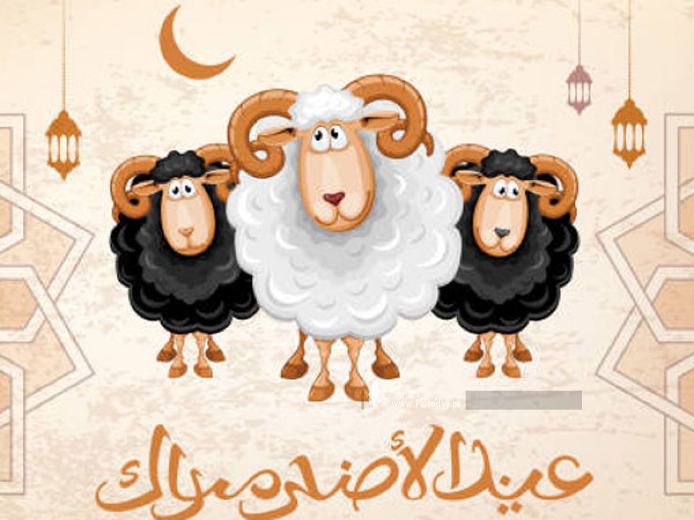 إجازة عيد الأضحى 2026 للقطاع الخاص: عدد أيام العطلة وموعد بدايتها رسميًا