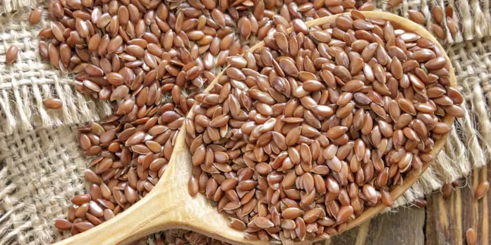 7 طرق مبتكرة وسهلة لإضافة بذور الكتان إلى وجباتك اليومية