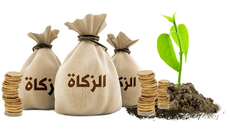 كيفية حساب الزكاة | طريقة حساب الزكاة ومقدار النصاب