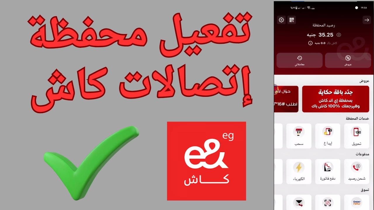 كيف أعرف رصيد محفظة اتصالات كاش؟ | طرق الاستعلام عن الرصيد بسهولة